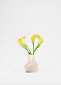 Torso Vase